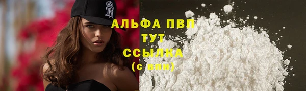 spice Волосово